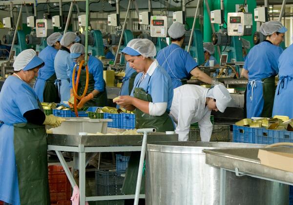 la catedral de navarra elaboración